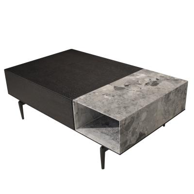 China (Other)Adjustable Modern Natural Marble Design Living Room TV Unit and Coffee Table Cabinet with Wood Storage for sale