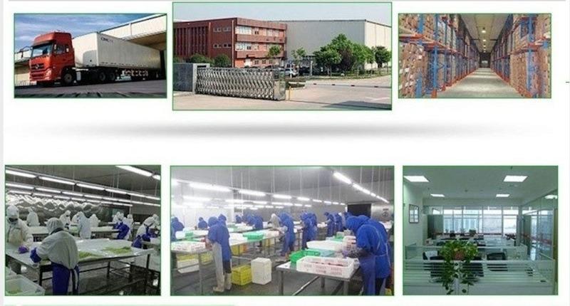 Verified China supplier - Qingdao Elite Foods Co., Ltd.