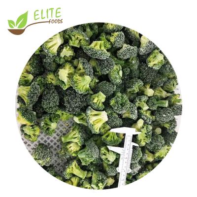 China 2022 Fresh Vegetable FROZEN High Quality Frozen Broccoli for sale