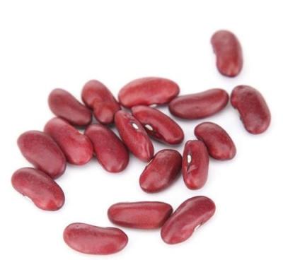 China IQF FROZEN Red Kidney Beans Suppliers for sale