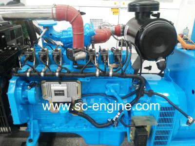 China Factory Supply Cummins 45KW Natural Gas Engine for sale