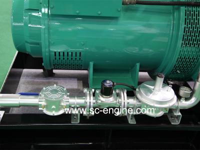 China 300KW CUMMINS Natural Gas Generator Sets / NG Generator for sale