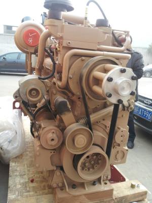 China Cummins KTA19-P600 Diesel Engine For Agriculture Irrigation for sale