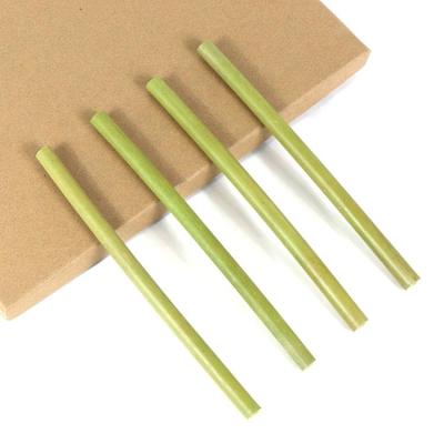 China Sustainable Eco Friendly Factory Direct Sales Customized Logo Bamboo Straw With Brush 100% Natural Bamboo Straw for sale