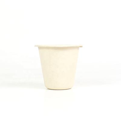 China 200ml Disposable Eco-Friendly Biodegradable Sugarcane Bagasse Bamboo Fiber Pulp Reusable Paper Hot Coffee Cup for sale