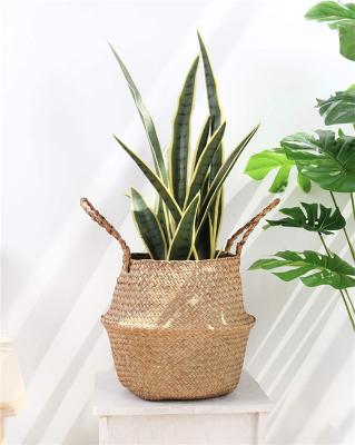 China Eco-Fridenly Handmade Woven Wicker Basket Of Natural Viable And Colorful Vegetable Plankton Eco-Friendly Storage Nice for sale