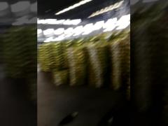 Factory tire manufacturing