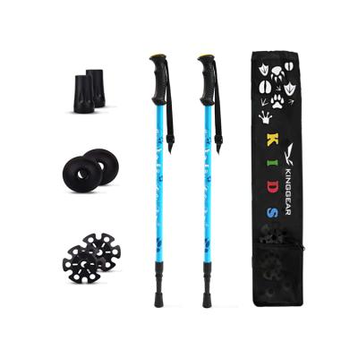 China 2-section Lightweight Aluminum 7075 cute small kids hiking trekking poles for sale