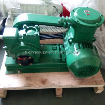 China Diesel Transfer Vane Pump Vane Pump W Marine Diesel Explosion Proof Motor 2