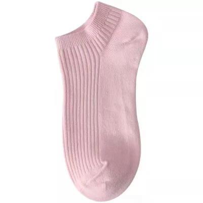 China Solid Color Stripe Mouth Spring Color Upper Shallow Socks Low Cut Cotton Women's Socks New And Summer Candy Thin Cotton Socks for sale