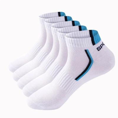 China Summer Man Cotton Shorts Antibacterial Socks Fashion Breathable Comfortable Casual Socks for sale