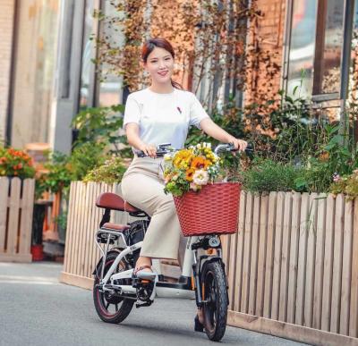 China Electric Bike HIMO C16 16