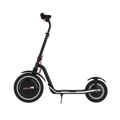 China City C1 36V350W 36V 9.6Ah unisex off-road LG scooter 16/12 inch wheel electric scooter lithium battery for sale