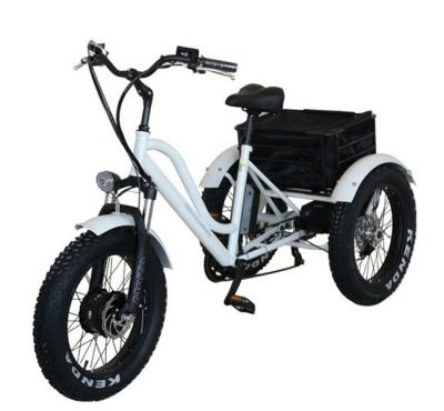 China Fat Tire Cargo Tricycle 48V 500W Front Wheel Motor Electric Tricycle for sale