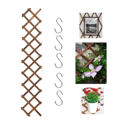 China Easily Assembled Garden Supply Decor Wall Fencing Wooden Lattice Panels and Fence Trellis Plant Support for sale