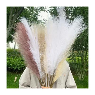 China High Quality Art Gallery Decoration Christams Home Decor Faux Pampas Grass Dried Natural Pampas Grass For Wedding Road Decoration for sale