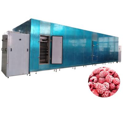 중국 Factory iqf industrial fruit tunnel freezer iqf raspberry fluidized industrial freezer 판매용