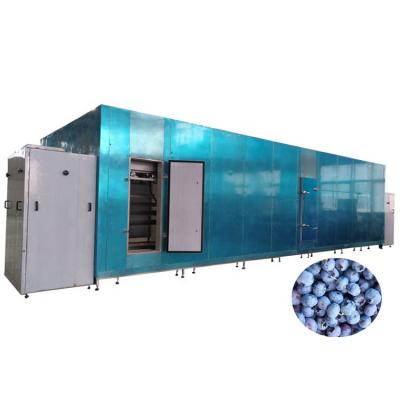 China Industrial blue factory strawberry 100kgh iqf conveyor belt tunnel freezer fruit iqf tunnel freezer for sale