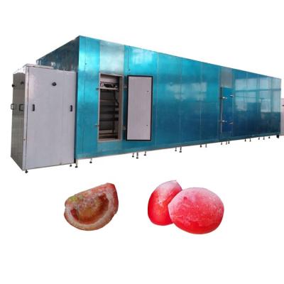 China Factory conveyor belt iqf freezing tunnel vegetable freezer prices frozen vegetable tunnel freezer for sale