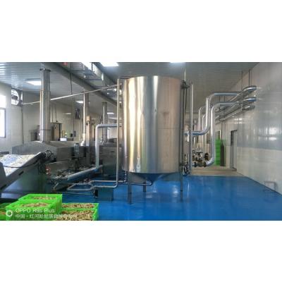 China Chips Vegetable Chips Production Line Make Plantain Chips Banana Production Equipment for sale