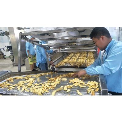 China Automatic Chips Big Capacity Pantain Cassava Chips Making Machine Cassava Chips Automatic Production Line for sale