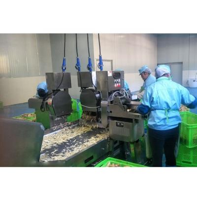 China Vegetable Chips Automatic Plantain Chip Machine Chips Production Line Plantain Chips Making Machinery for sale