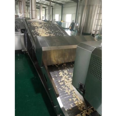 China Continuous Chips Plantain Potato Chips Making Machine Plantain Machine Fried Crispy French Fries Production Line for sale