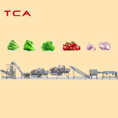 China Full Automatic Processing Line Vegetable Cleaning Washing and Drying Line of Salad Production Line for sale