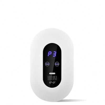 China Latest hotel ozonomatic products in market water and air ozonator with timer for sale