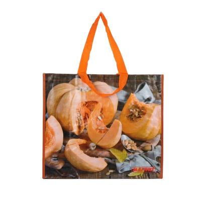 China Eco-friendly high quality pp woven laminated polypropylene pla bag with logo for sale