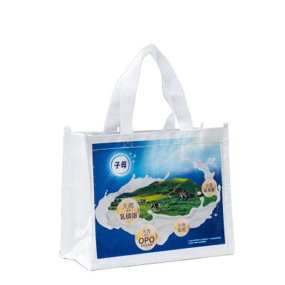 China Newly Design Eco-friendly Waterproof Laminated PP Woven Tote Bag For Grocery Shopping Women Handle Bag for sale