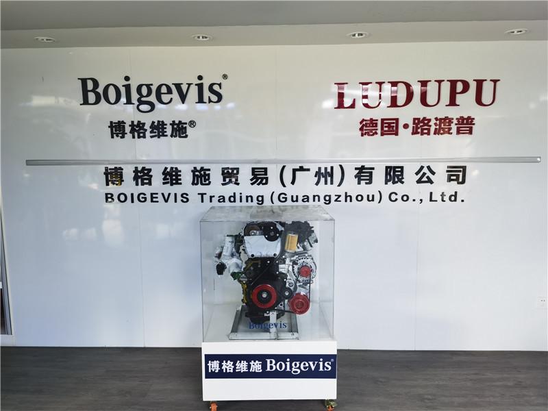 Fornitore cinese verificato - Boigevis Trading (guangzhou) Co., Ltd.