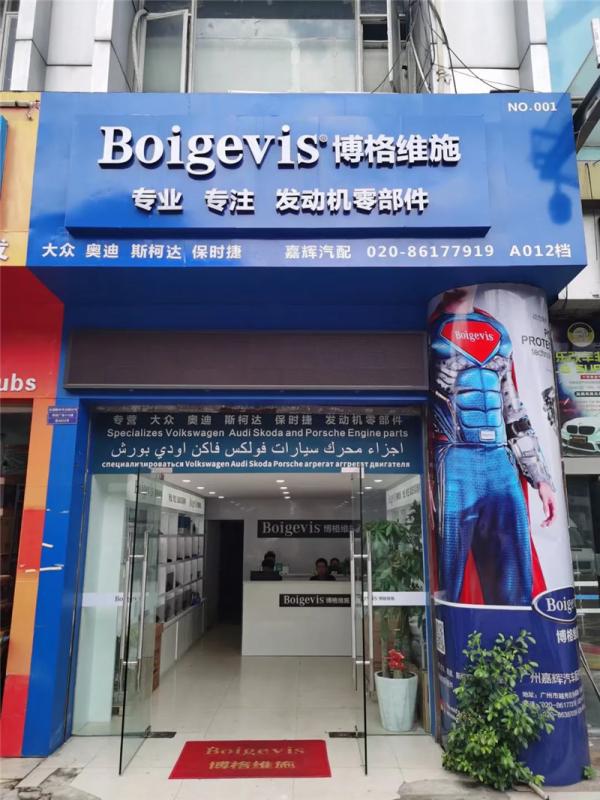 Fornitore cinese verificato - Boigevis Trading (guangzhou) Co., Ltd.