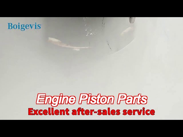 Boigevis Ea211 Engine Piston Parts 04E107065Fq 12 Months Guarantee