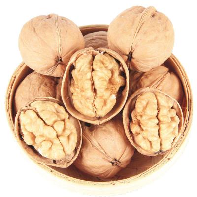 China 2021 Soguo Dry Dried Fruit XF Walnut Thin-skin shelled raw walnut in china for sale