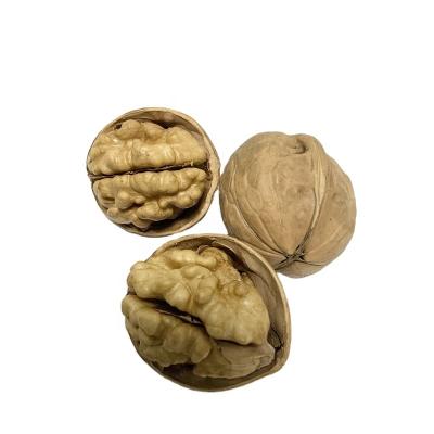 China Wholesale Dried Walnuts Washed Cheap Easy Cracked Walnut In Shell With Hand for sale