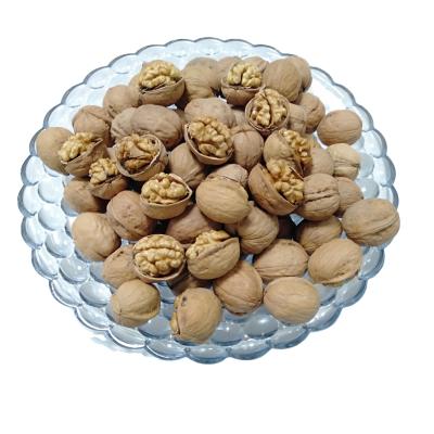 China Shell Prices Package 500 g Cheapest Dried Fresh 1kgs Walnuts for sale