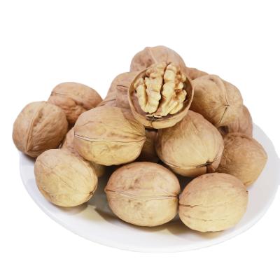 China Soguo Shell Fresh Delicious Nutrition Chinese Walnut Dry Thin Kernel for sale