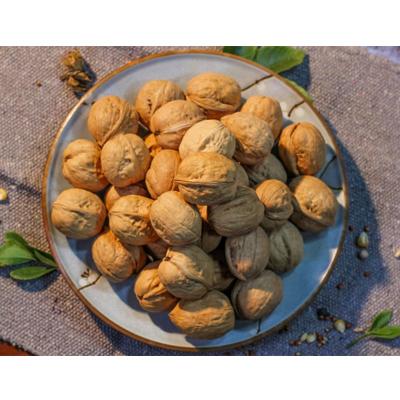 China Wholesale Price Good Quality Chinese Nut Fresh Dry Walnut in Shell Paper Shell Walnut for sale