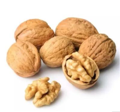 China Wholesale Dried North Walnut , 30mm+ Wash Whole Kernel Walnut With HACCP for sale