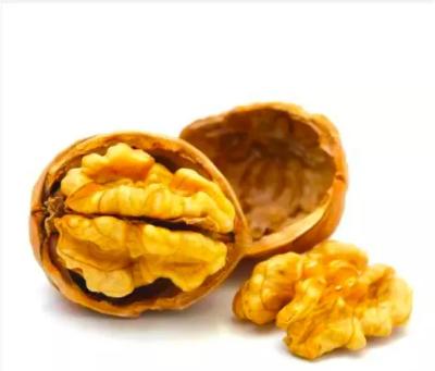 China Dried HACCP Certification Provides High Quality Whole-SHELL Walnuts from Xinjiang Origin in China for sale