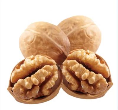 China Easy-to-dry skin Xinjiang high quality 185 nuts with HACCP for sale