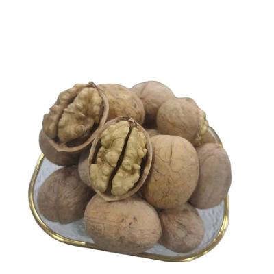 China Wholesale 2021 New Crop Unwashed High Quality Organic Xinjiang Susceptible Walnut Dry Wholesale for sale