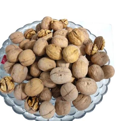 China Wholesale dry high quality organic thin-paper-peeled walnuts washed in Xinjiang of 2021 new cultivation for sale