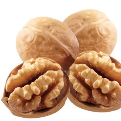 China New Walnut Wholesale Walnut Culture 185 Dry Walnut Shell Low Price for sale