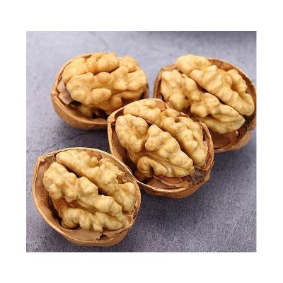 China Xinjiang Walnut Thin-Skin Dry Raw Walnut With Shell 185 Walnut In Bulk Wholesale for sale