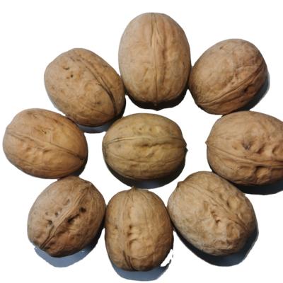 China 2021 High Quality Dry Fresh China Walnut Supplier Washed Xin2 Walnut Inshell (Walnut Supplier) 30mm+ With 25KGS Package From China for sale