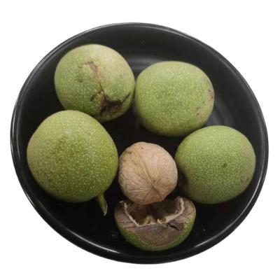 China China Original Wholesale Xinjiang Dry Cheap Organic Walnuts With Thin Peel Paper Skin High Quality Walnuts for sale