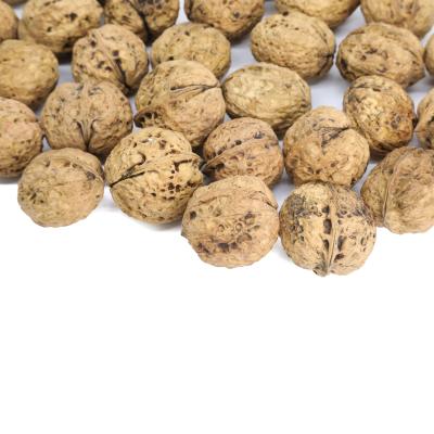 China High Quality Organic Shelled Walnut Kernels Dried Walnut Kernels for sale