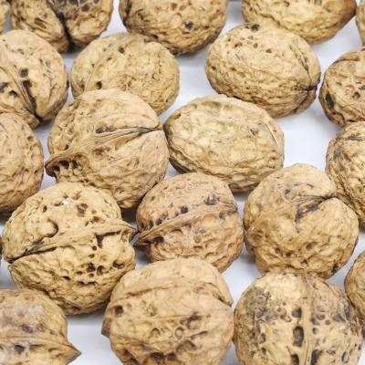 China Yunnan Organic Walnut Walnut Peel Walnut Dry Paper Picture for sale